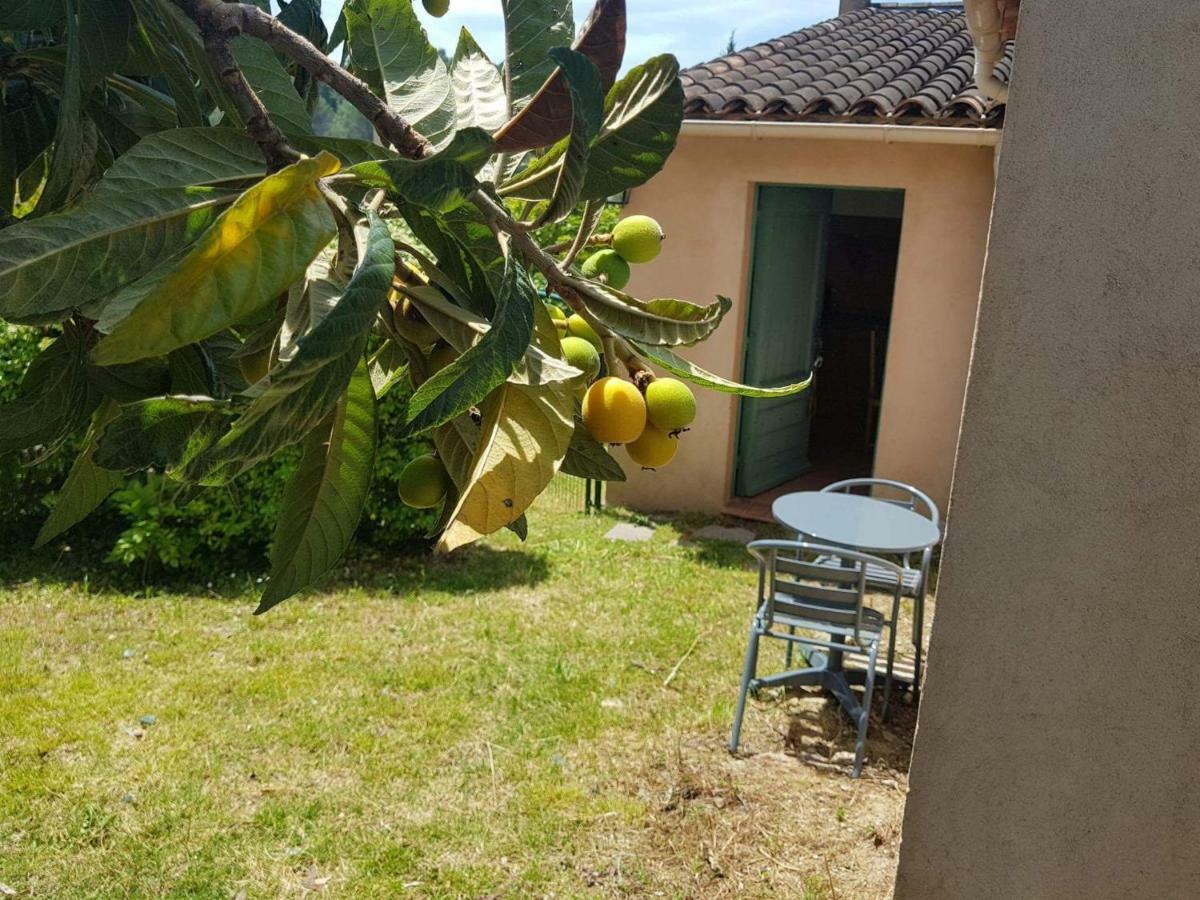 Grand Studio La Roquette-sur-Siagne Bagian luar foto